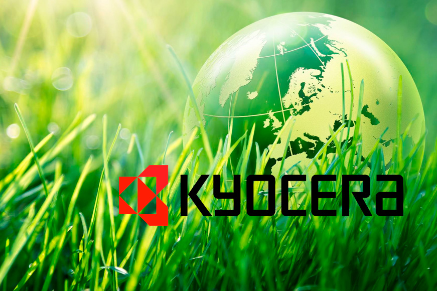 Anul acesta se poartă ECO в Молдове