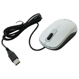 Cumpara Mouse Genius DX-110, Alb in Moldova