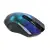 Cumpara Mouse Wireless QUMO Universe, Multicolor in Moldova