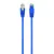 Cumpara UTP Cat6 Patch cord, 0.25 m, Blue in Moldova