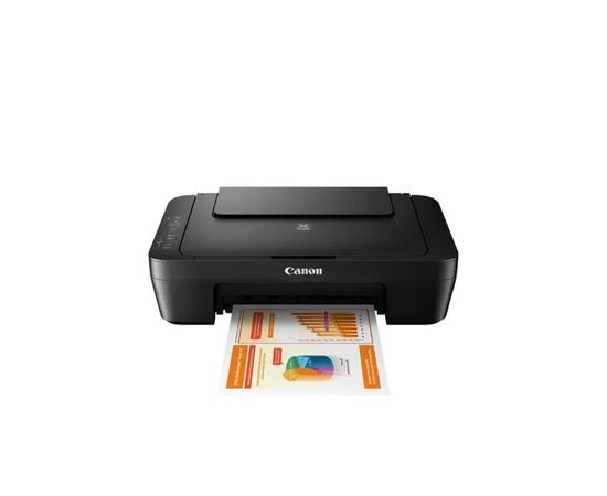 Купить MFD Canon Pixma MG2540S в Молдове