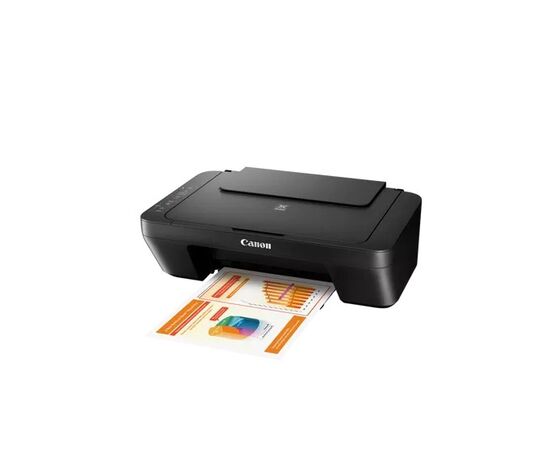 Купить MFD Canon Pixma MG2540S в Молдове