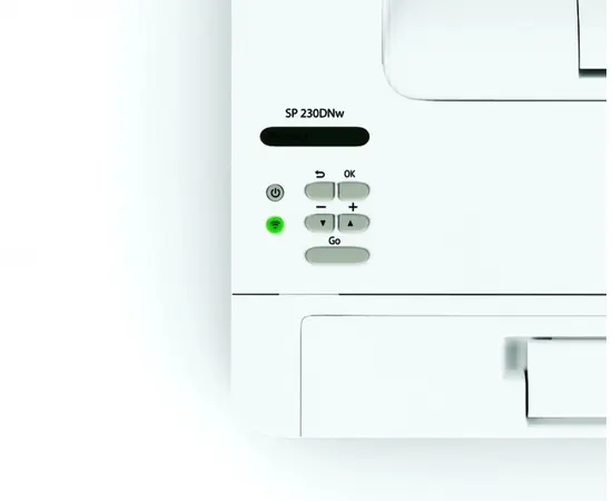 Cumpara Ricoh SP-230dnw in Moldova