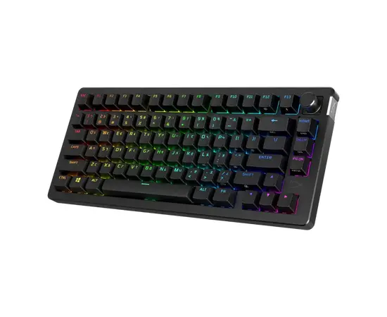 Cumpara Tastatură HyperX Alloy Rise 75, Fără fir, Negru in Moldova