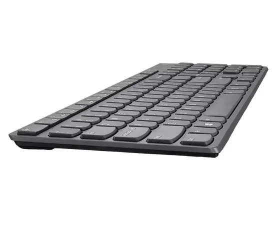 Cumpara Set Tastatură + Mouse Lenovo 4X30T25796, Fără fir, Gri in Moldova