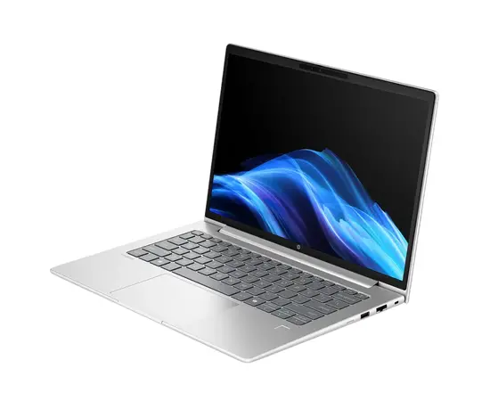 Cumpara Laptop Business 14" HP ProBook 4 G1a 14, Pike Silver, AMD Ryzen 5 230, 16GB/512GB, FreeDOS in Moldova