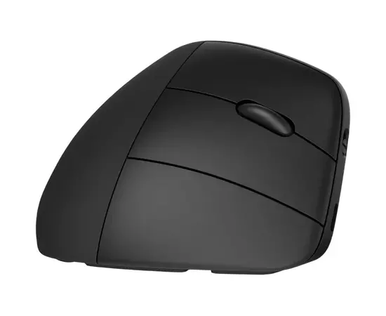 Cumpara Mouse HP 920, Negru in Moldova