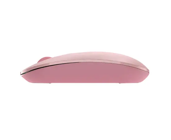 Cumpara Mouse Wireless A4Tech FG20, Roz in Moldova