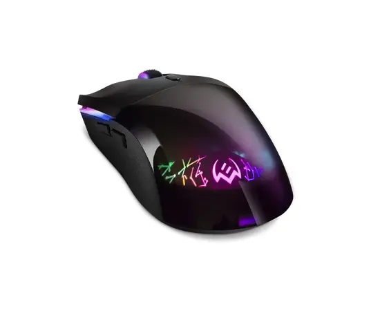 Cumpara Gaming Mouse SVEN RX-G800, Negru in Moldova