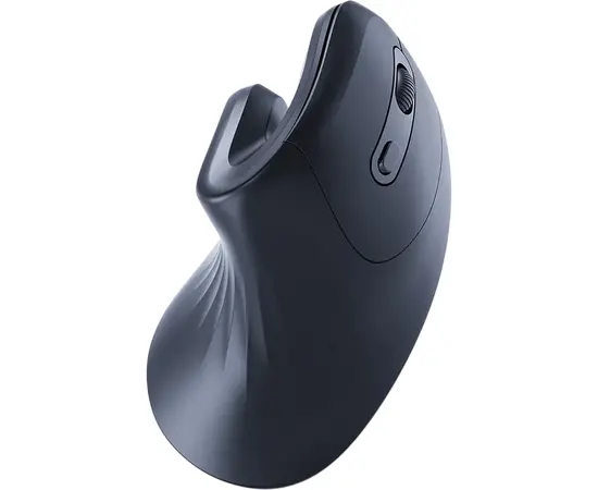 Cumpara Mouse Gembird MUSW-ERGO-03, Negru in Moldova