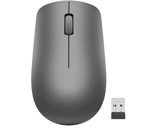 Cumpara Mouse Lenovo 530, Grafit in Moldova