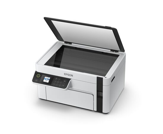 Cumpara MFD CISS Epson EcoTank M2110 white in Moldova